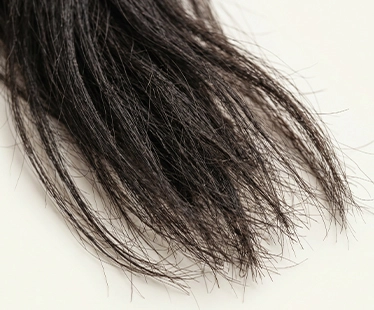 Dry, coarse, or rough hair texture